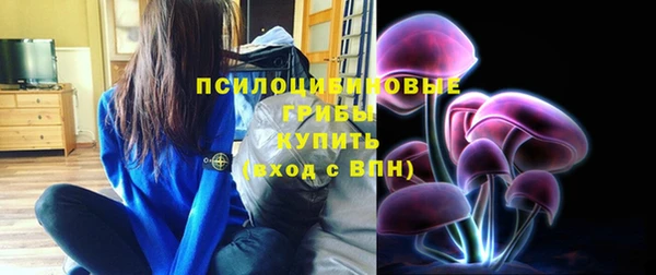 PSILOCYBIN Надым