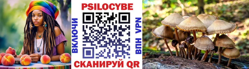 где купить наркотик  Дрезна  Псилоцибиновые грибы Magic Shrooms 